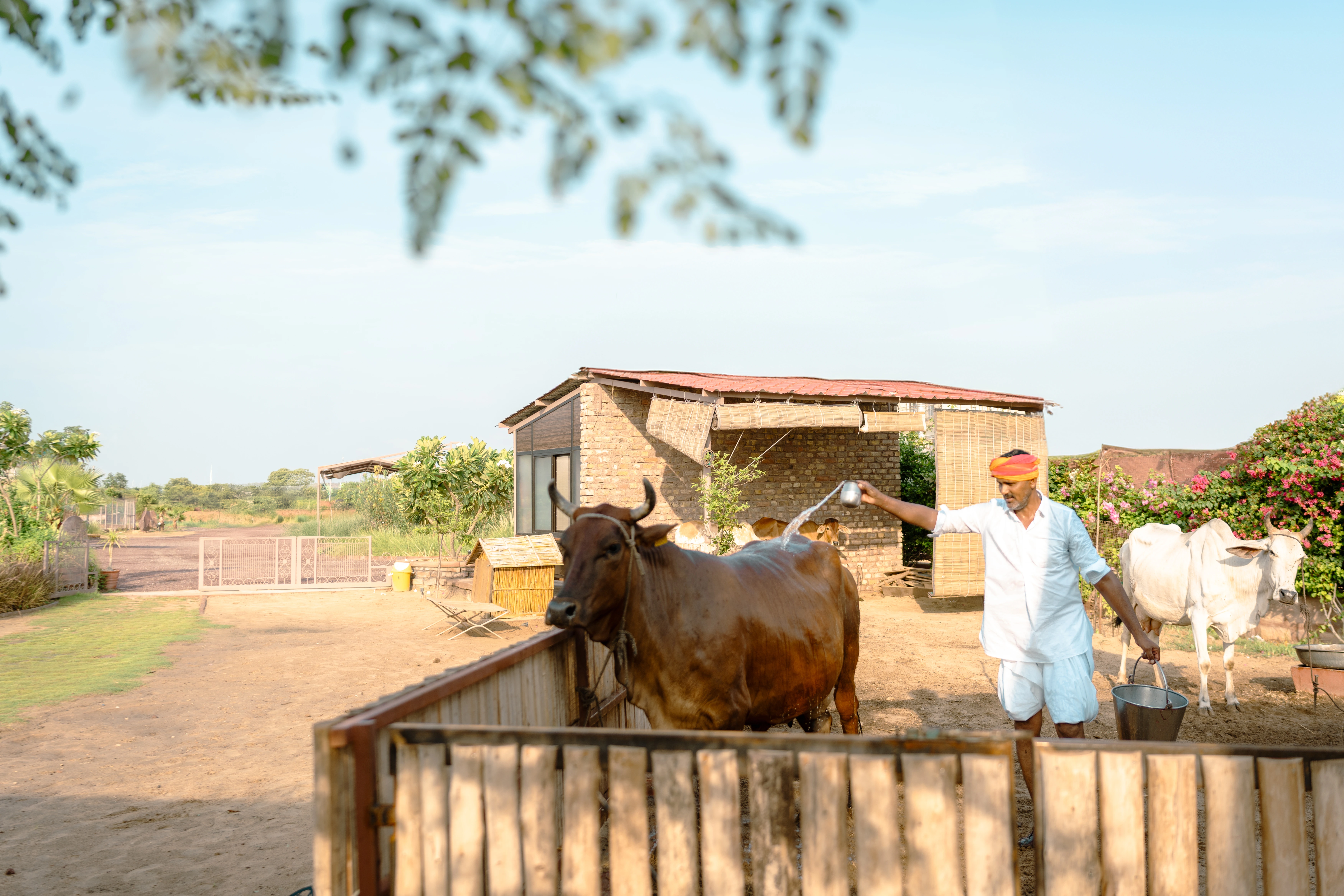Govind Bagh Resort